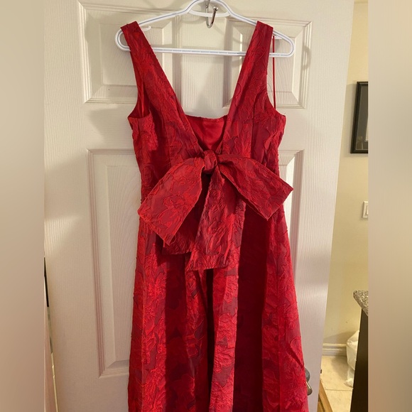Elegant Red Textured A-Line Evening Dress - Picture 10 of 16